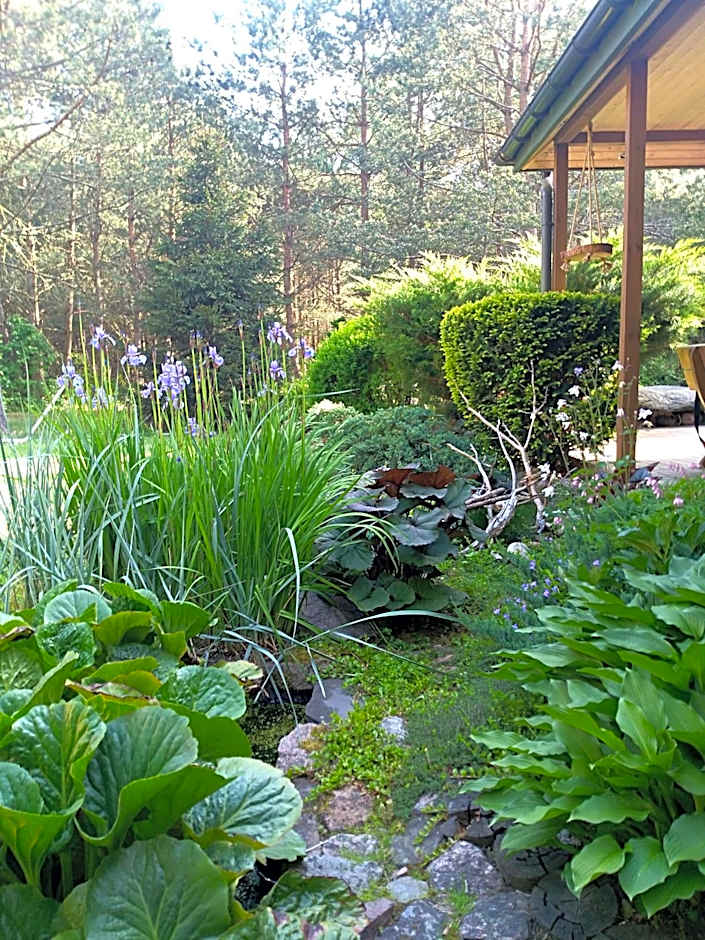 Uroczysko Ludwinowo na Podlasiu