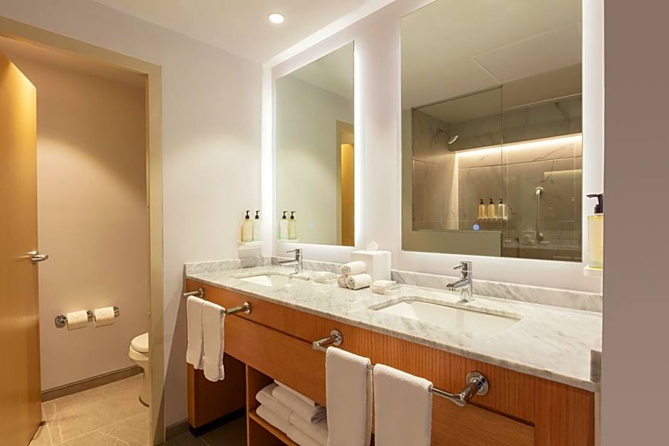 Hilton Garden Inn Guadalajara Airport