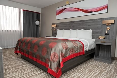 One-Bedroom King Suite - Non-Smoking