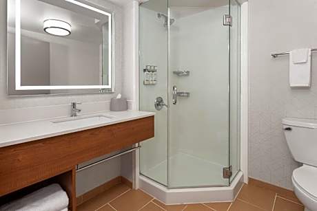 King Suite with Sofa Bed