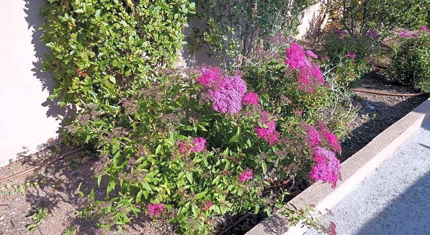 Les Parasols d'Argens