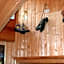 Guesthouse By Wild