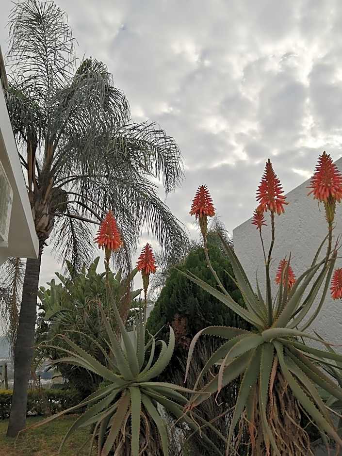 Palm View Guest House