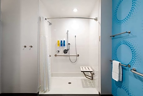 1 King Mobility/Hearing Accessible Roll-in Shower