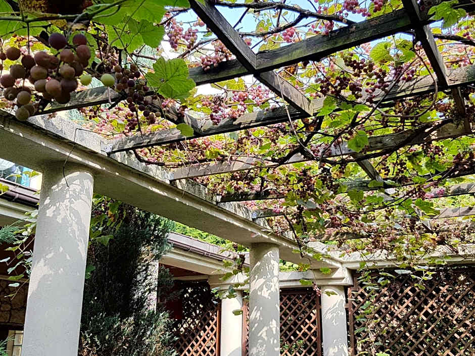 Hotel Trzy Światy Spa & Wellness Rajska WySpa
