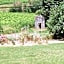 Domaine De La Petite Tour