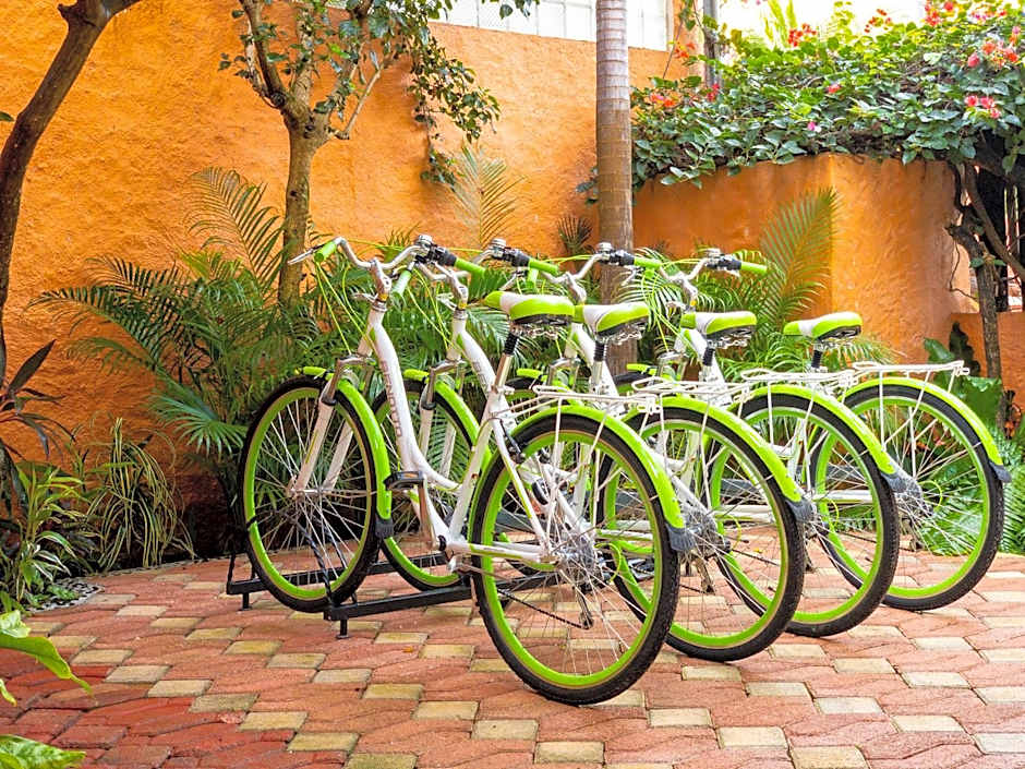 Casa Mulder - Steps to Beach Private Pool Ocean-View Roof