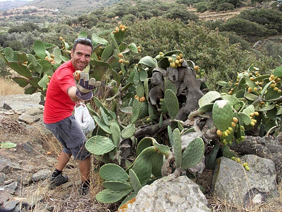 Crossroads Inn Traditional Lodging