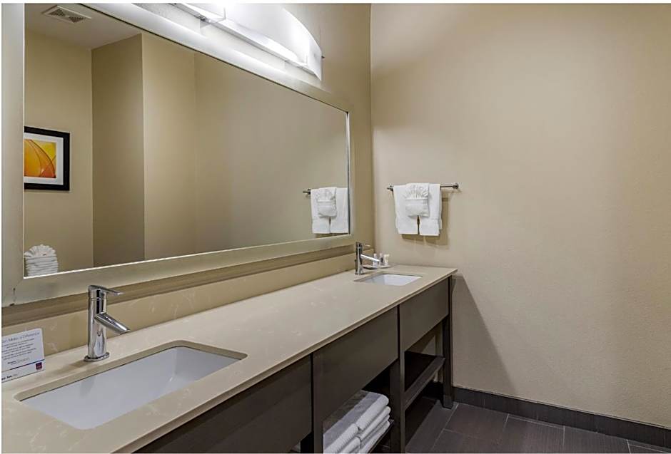 Comfort Suites Near Sam Houston Race Park