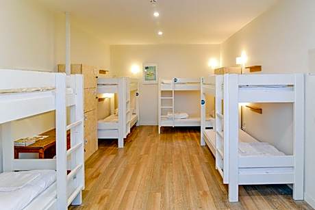 Bunk Bed in 8-Bed Dormitory Room