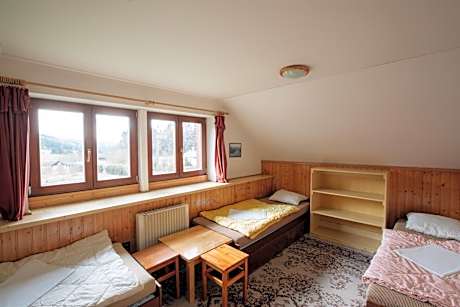 Mixed Dormitory Room