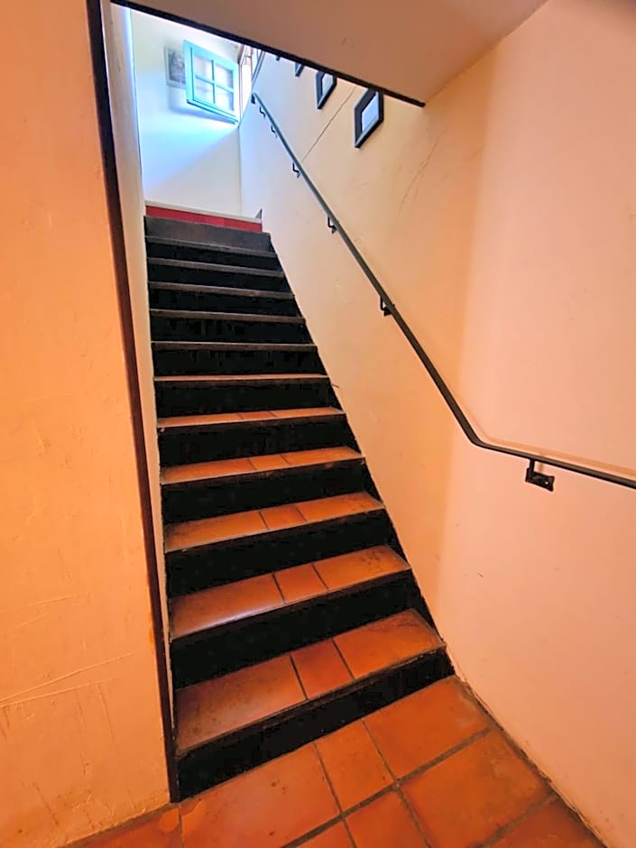 Ferme équestre & Chambres d'hôtes Gateau Stables proche Guédelon