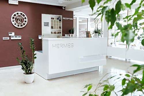 Hotel Hermes Budva