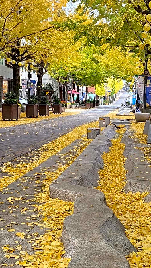 Daoljae Hanok Pension