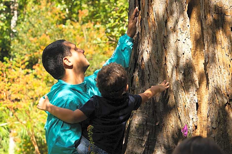 Dantica Cloud Forest Lodge