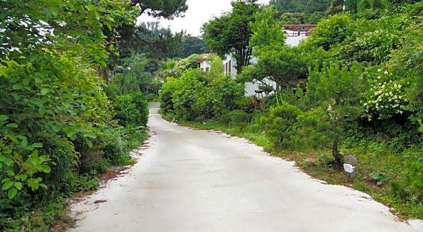 Dreaming Forest Pension