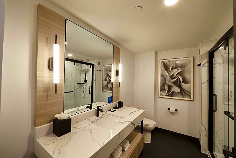 Bloom Mississauga, Tapestry Collection by Hilton