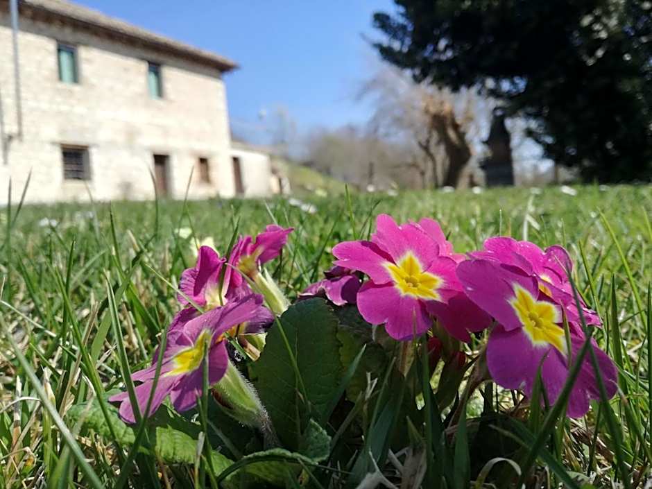 Casa Sponge B&B