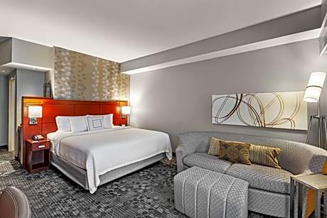 King Room with Sofa Bed - Hearing Accessible
