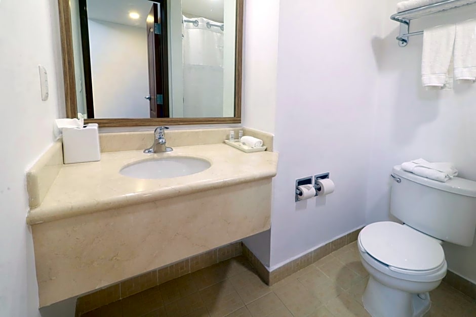 Wyndham Garden Monterrey Valle Real