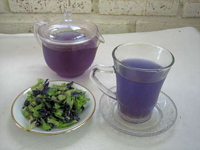 Amrita Villa Sidemen