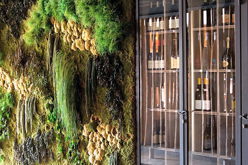 Vila De La Mar & Spa