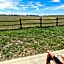 Badlands Frontier Cabins
