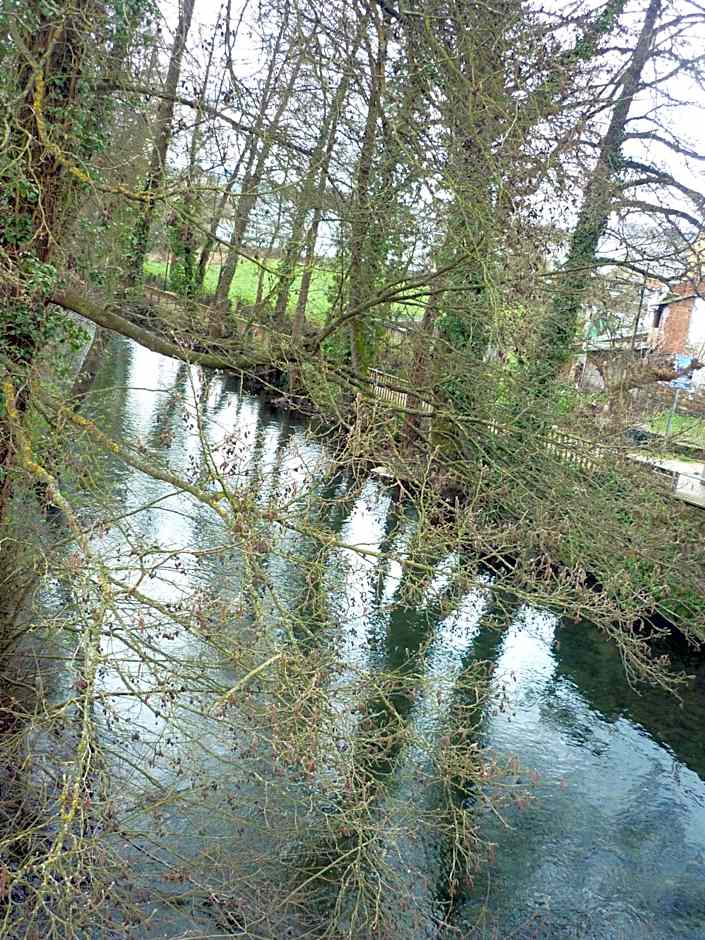 Pensión-Albergue Puente Ribeira