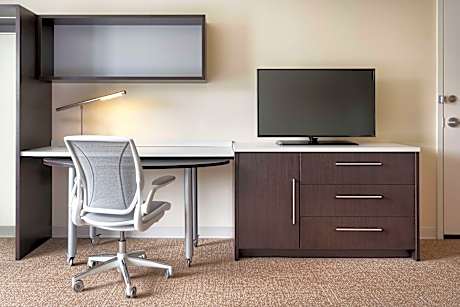 1 King Bed Studio Suite Nonsmoking