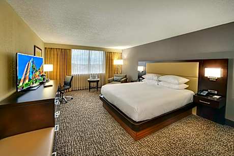 1 King Bed