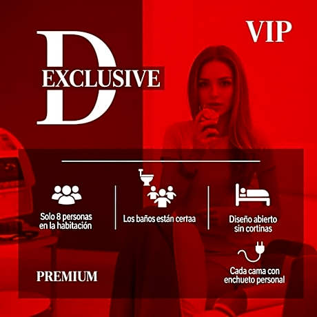 Bunk Bed in Mixed Dormitory Room