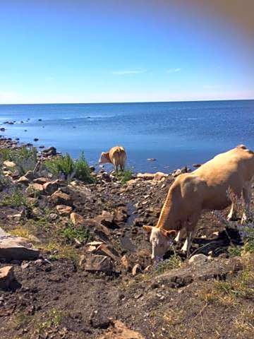Hotell Turistgården i Simrishamn