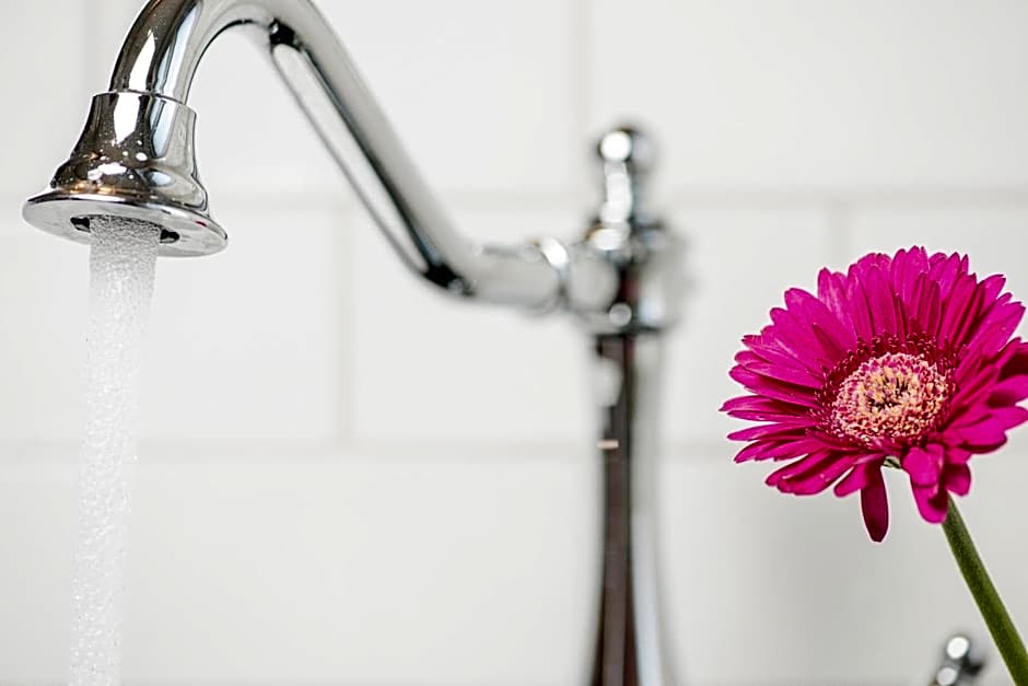 Emma's kleines Hotel