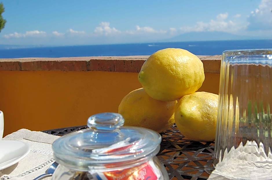 La Terrazza sul Mare