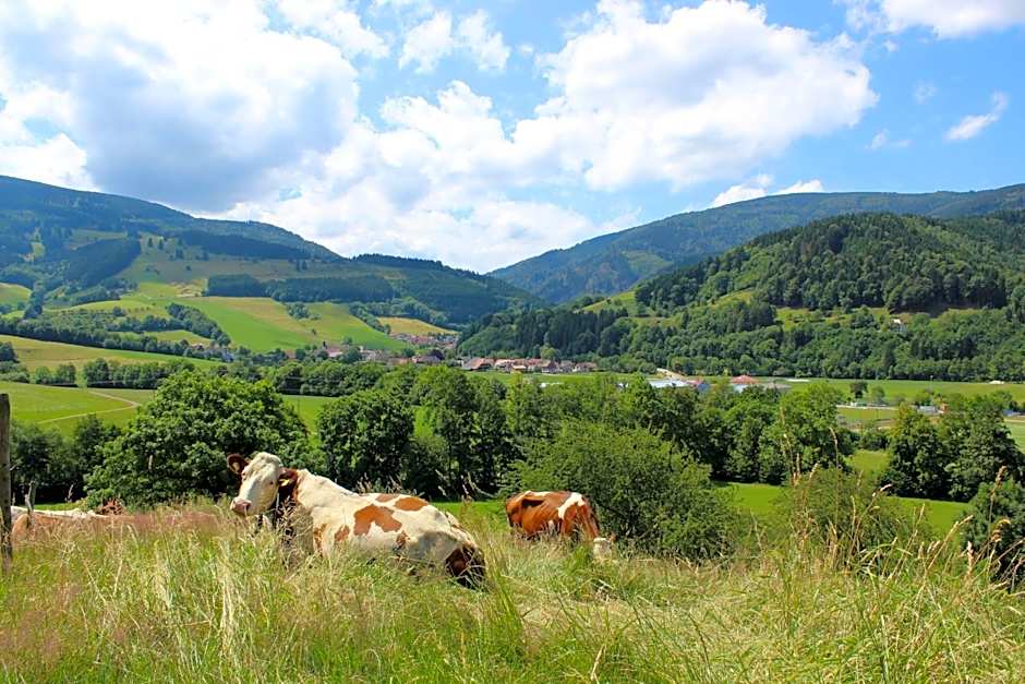 Landgasthof zum Schützen