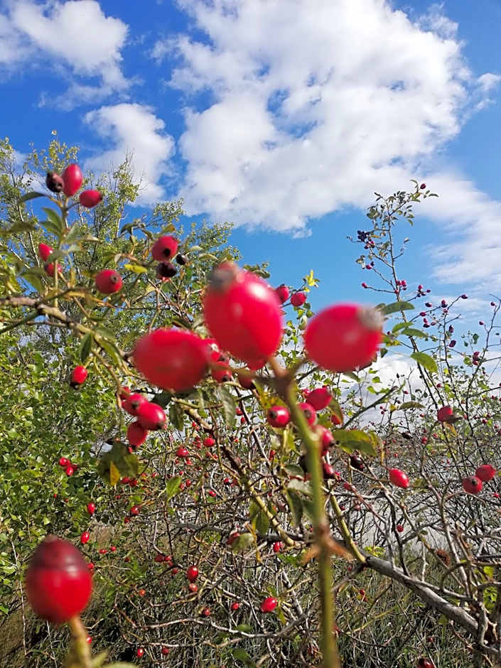 Ferienherbergen S & J Zeisz