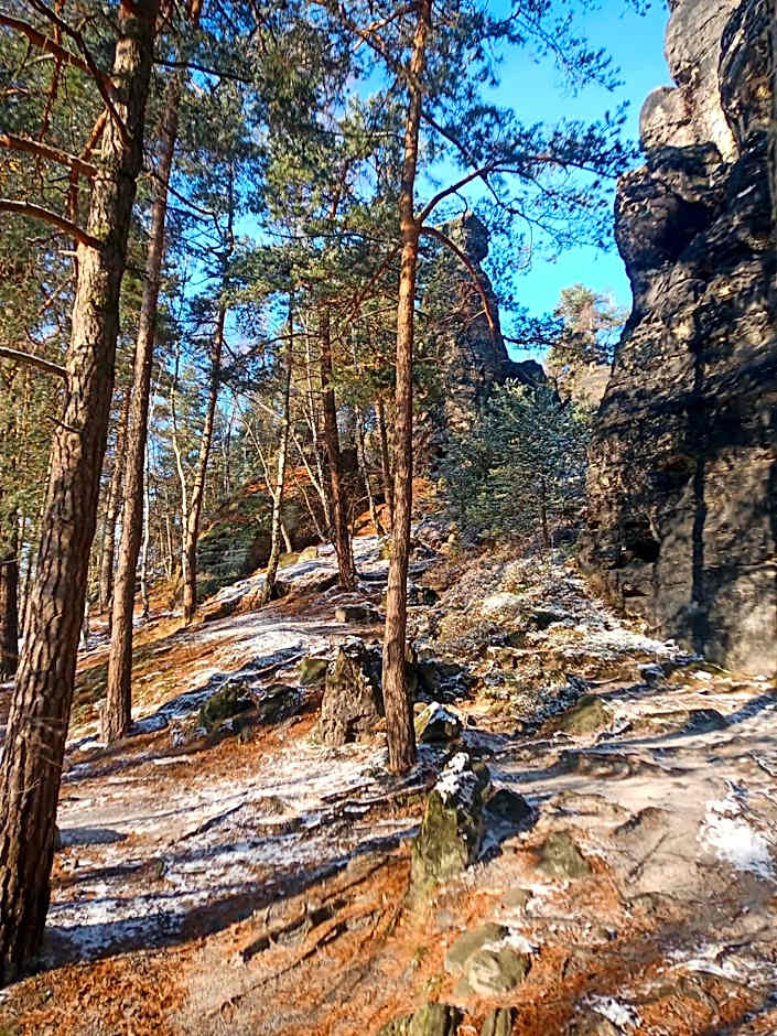 Fox House Tisá / Rájec