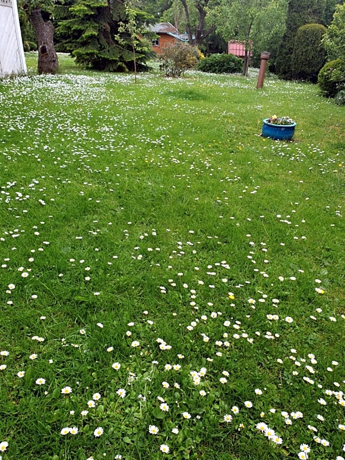 Stadtrand Wilhelmshaven