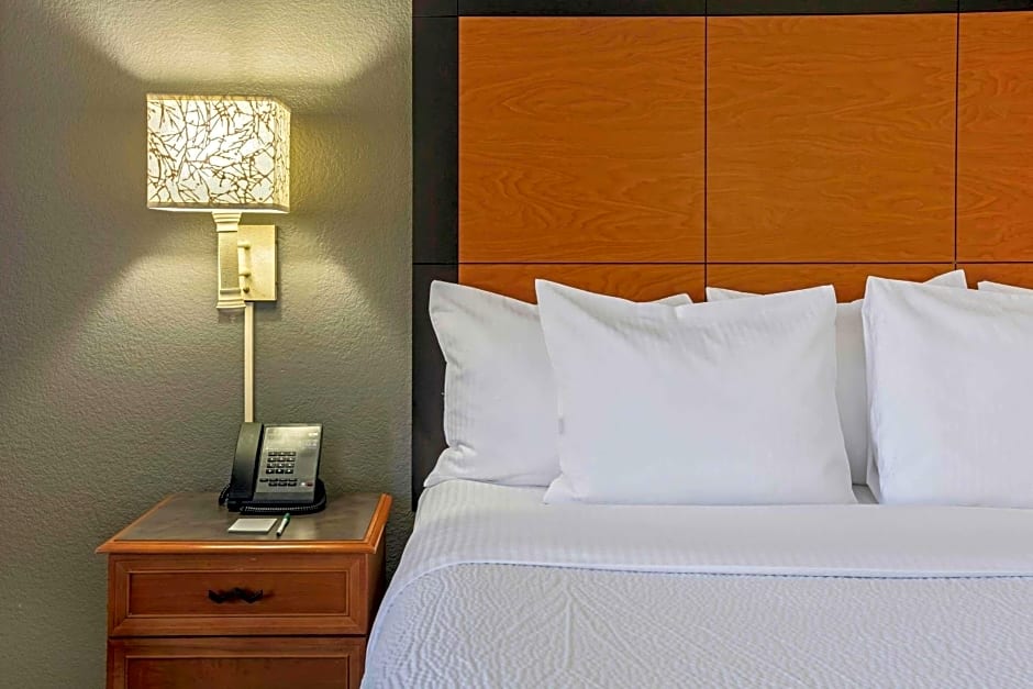 La Quinta Inn & Suites by Wyndham Dallas Arlington South