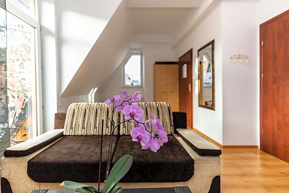 Brzoza w centrum Zakopanego