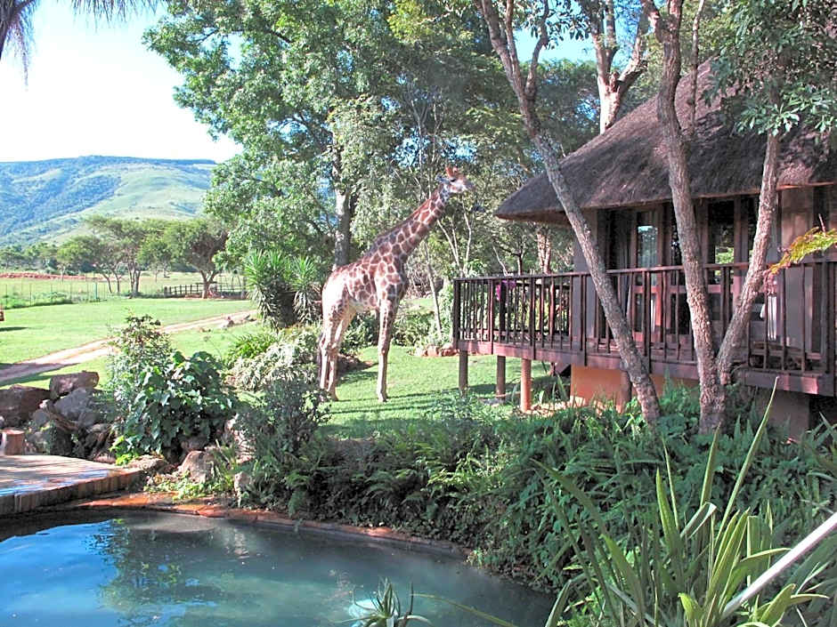 Caracal Lodge