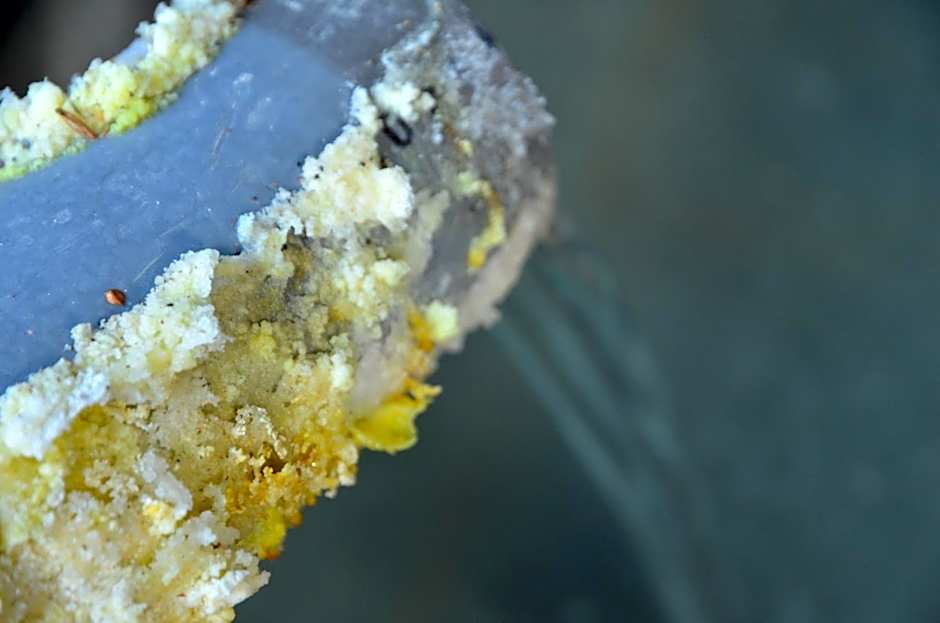 ARtINn 極寒藝術伝染装置