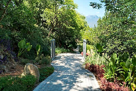 Gamma Monterrey Rincon de Santiago