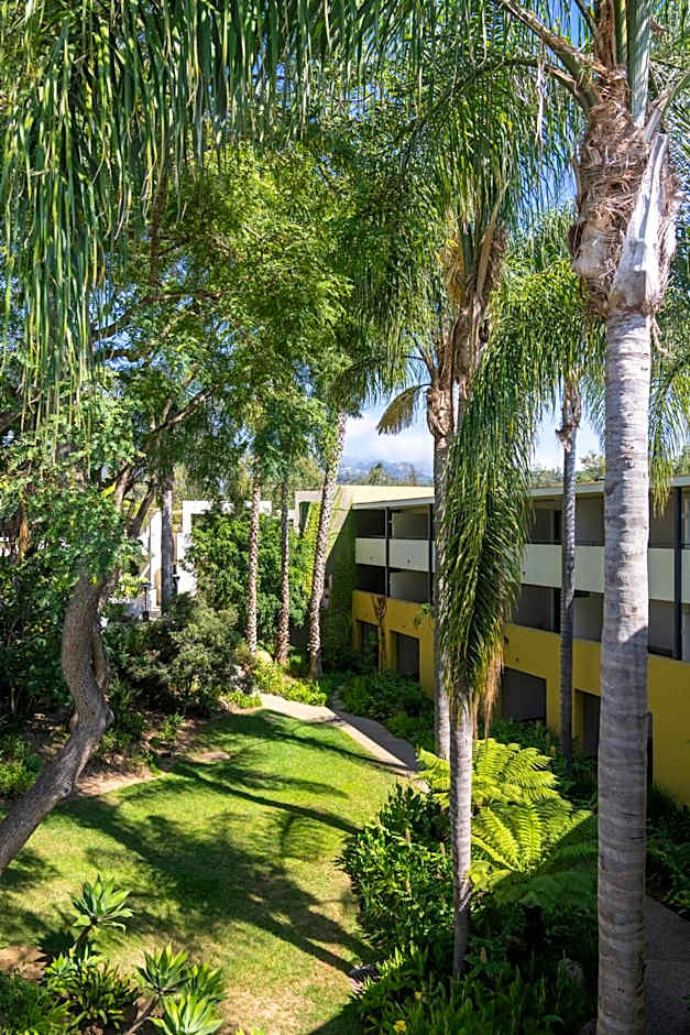 Lemon Tree Inn