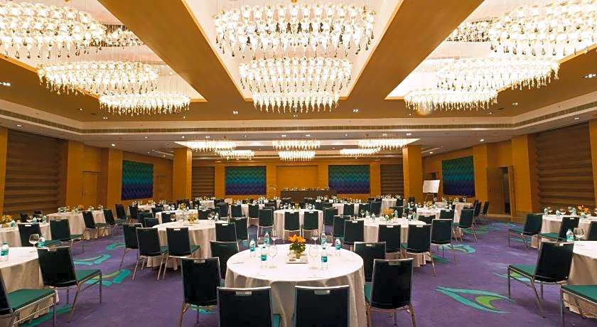 Marigold By Green Park