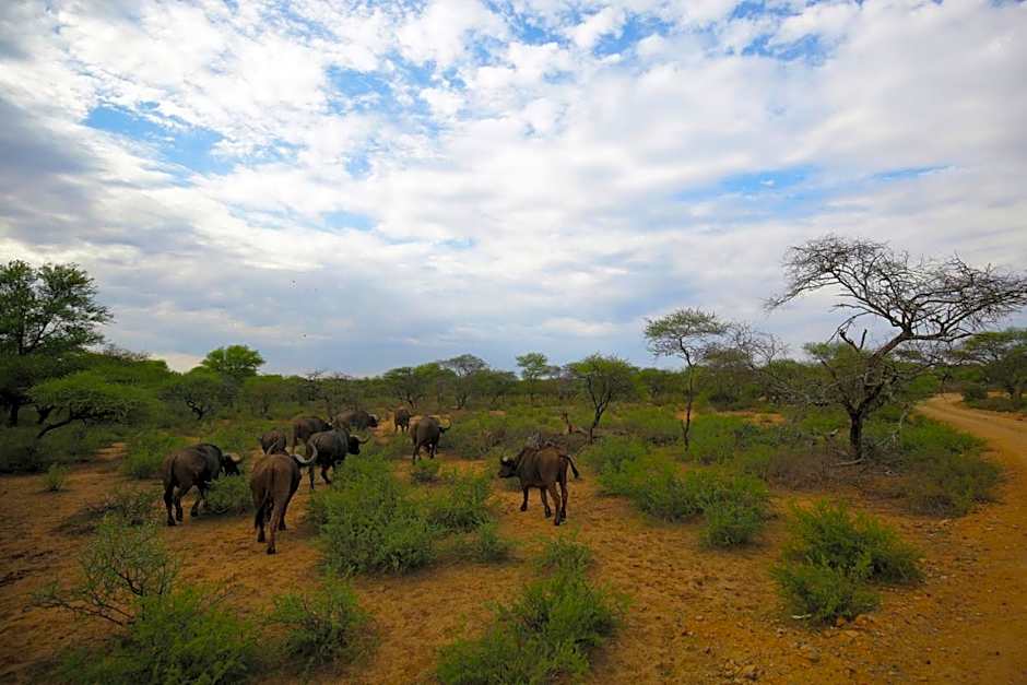 Palala Boutique Game Lodge and Spa