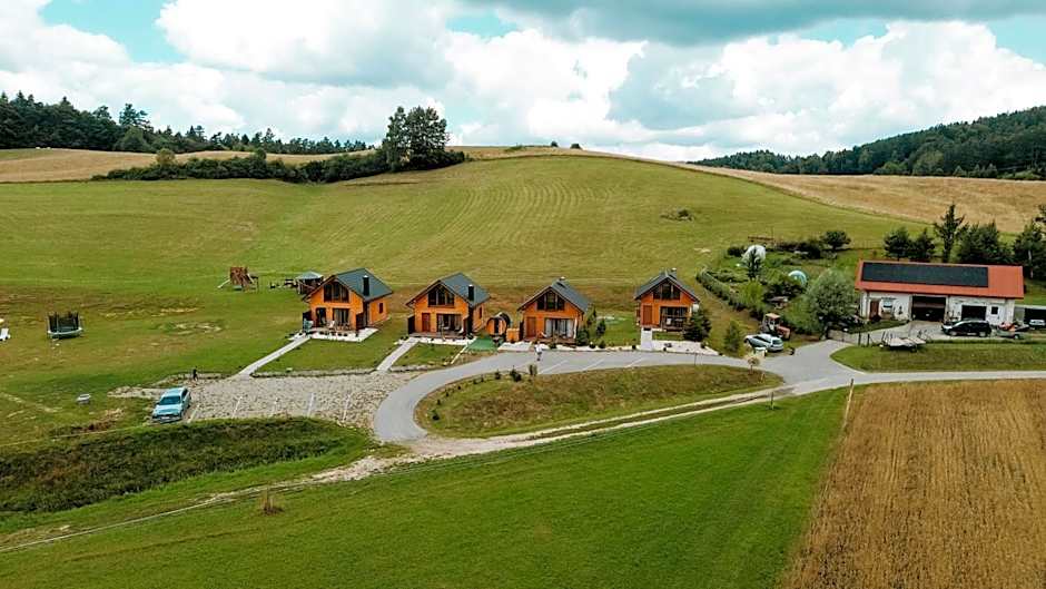 Domki pod Bukowym Lasem