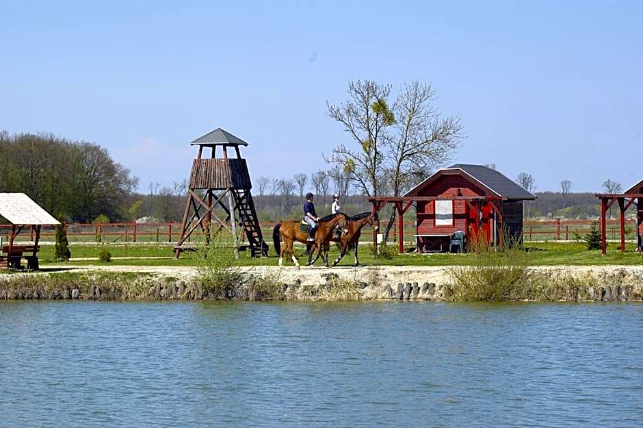 Gosztola Gyöngye-az erdő szállodája