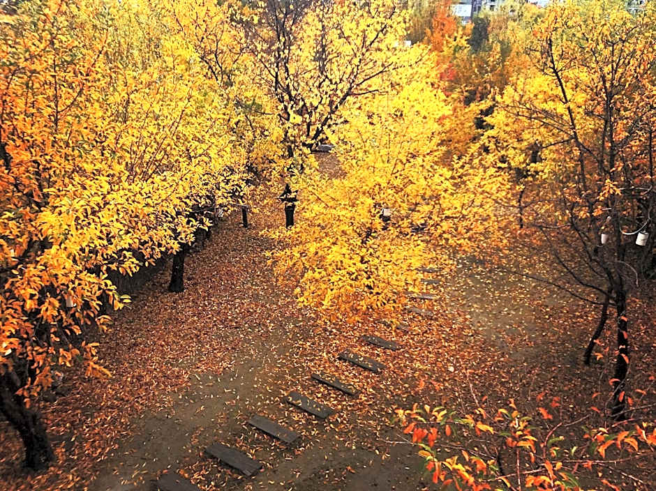 Miro Mara Boutique Hotel & Lounge Bar