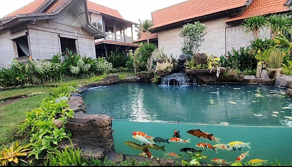 AgaLiving Medewi